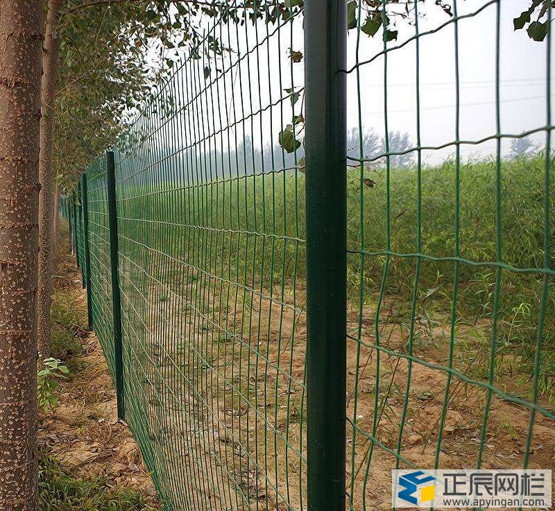 果园铁丝网围栏